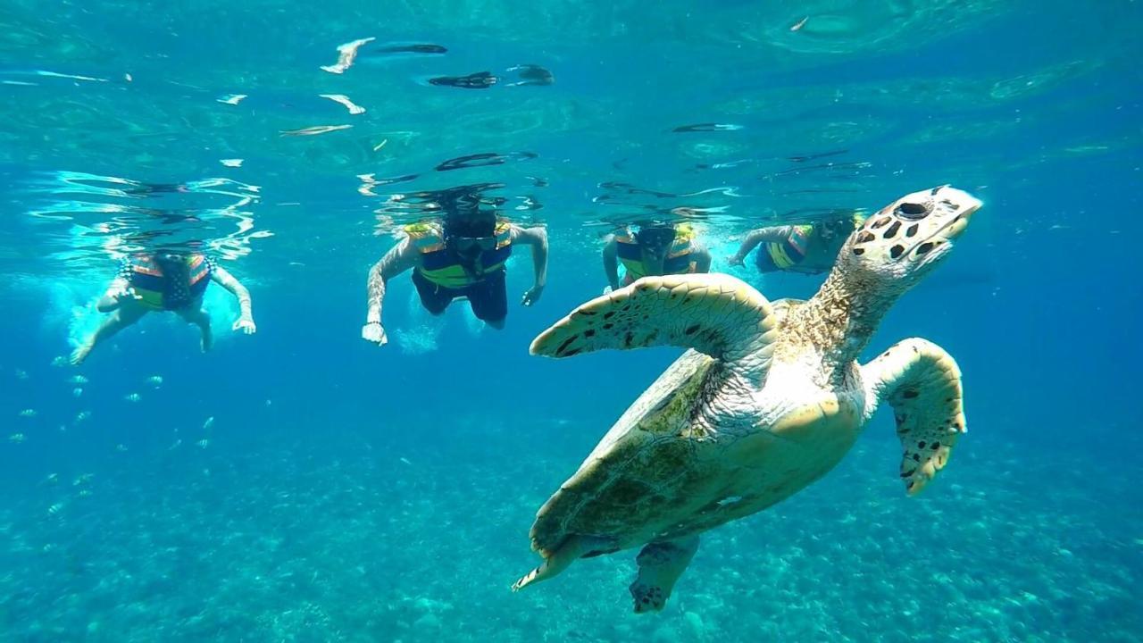 Gili Meno Mojo Beach Resort מראה חיצוני תמונה